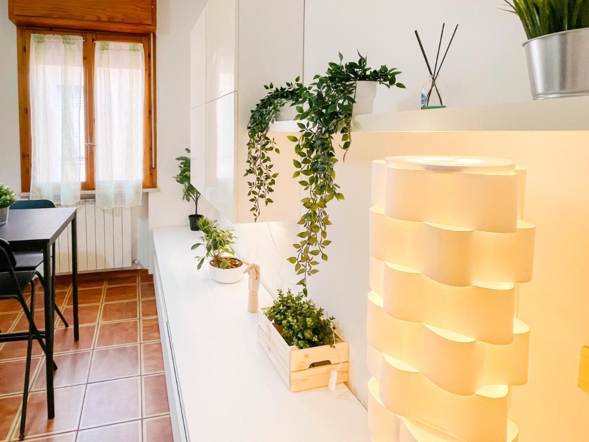 Appartement Ospedale Cisanello Bonsai House *